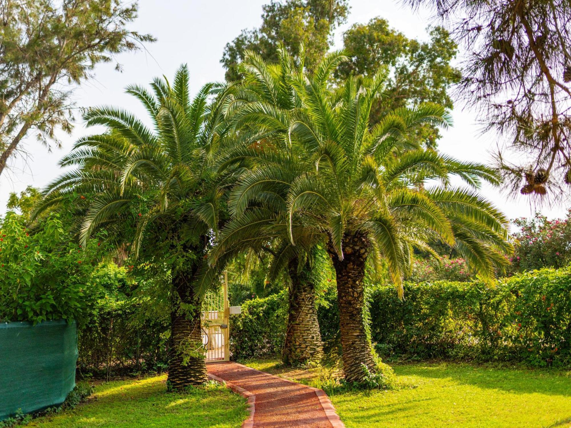 מלון Asteria Collection סייד מראה חיצוני תמונה